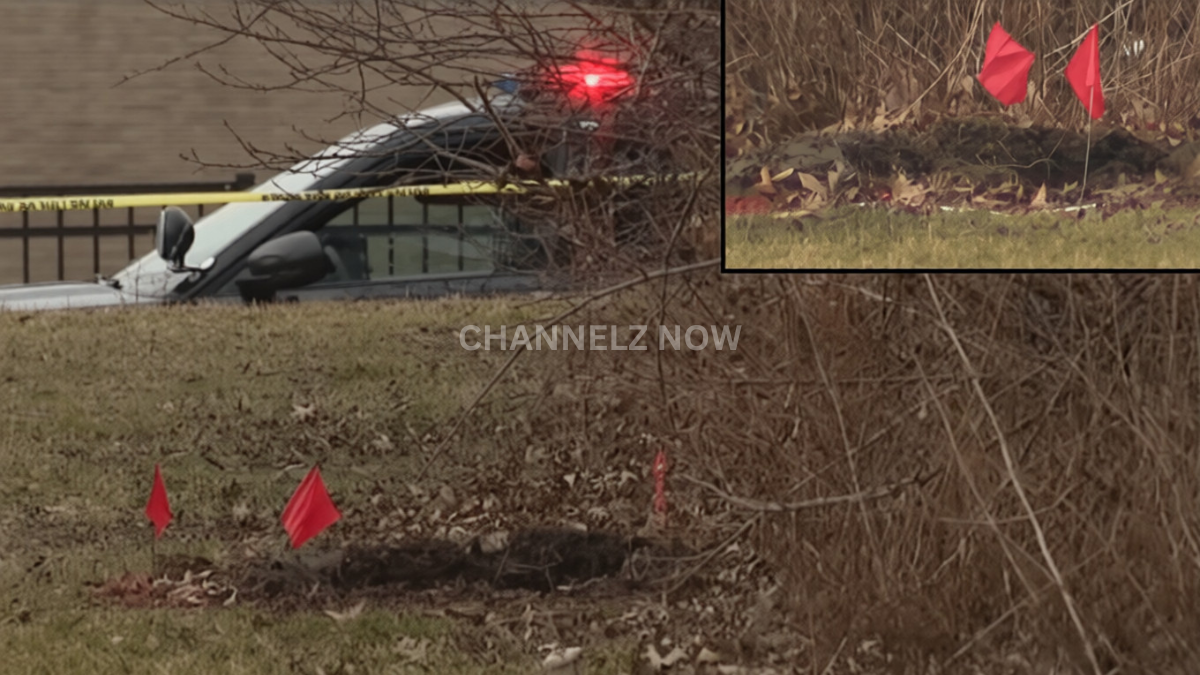 Two Young Girls Found in Suitcases Buried in Shallow Graves in ...