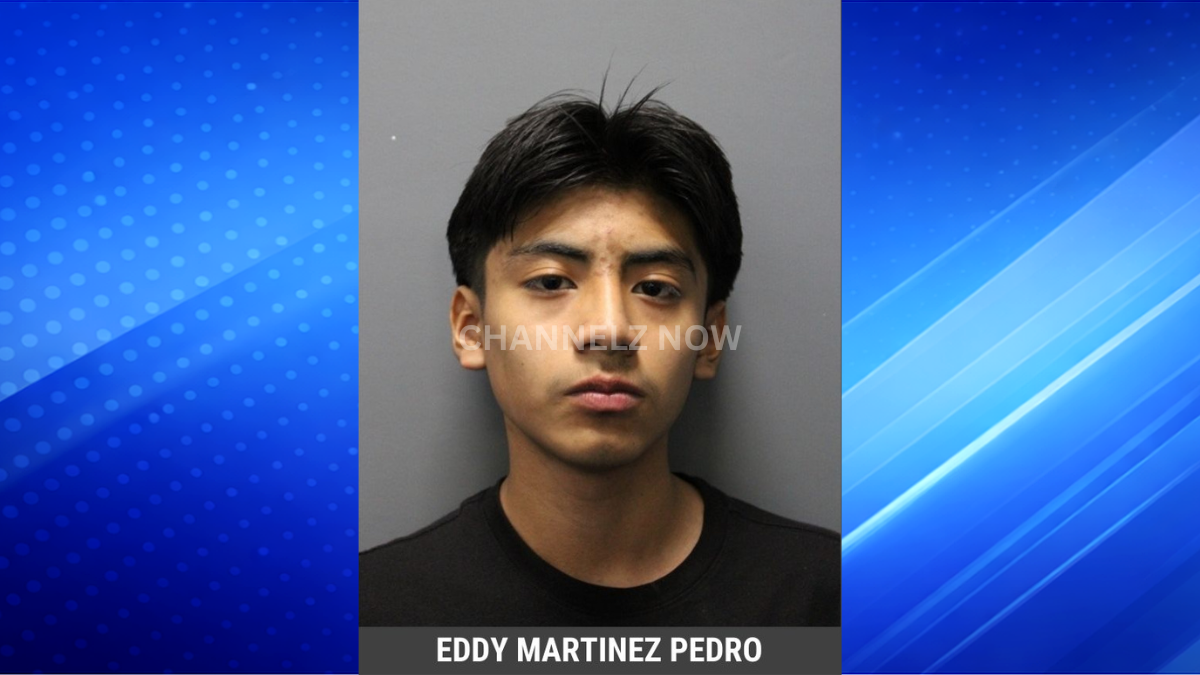 Student Arrested After Bringing Gun to Florida High School and Fleeing ...