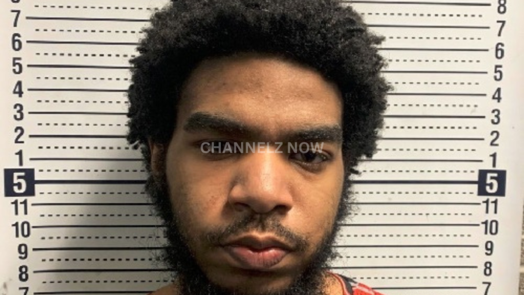 23-Year-Old Man Pleads Not Guilty in Double Murder of Two Teens Outside ...