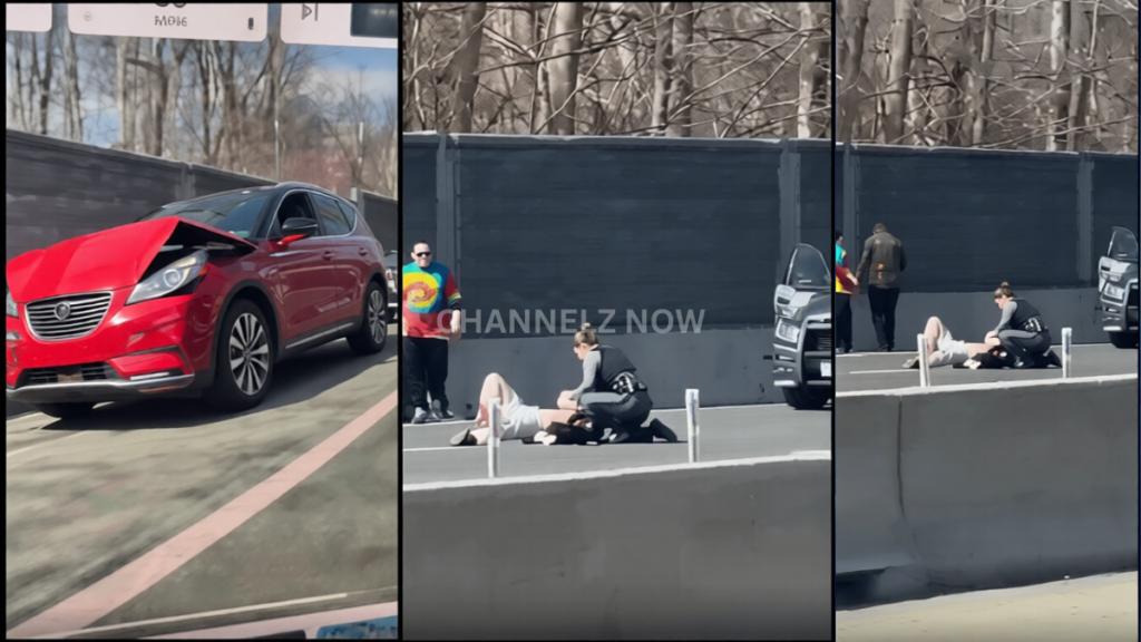 Woman and Dog Killed, Three Injured in I-495 Road Rage Stabbing ...